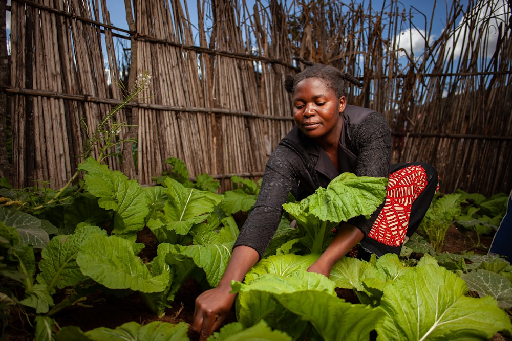 Femme s’occupant de cultures maraîchères dans son jardin
