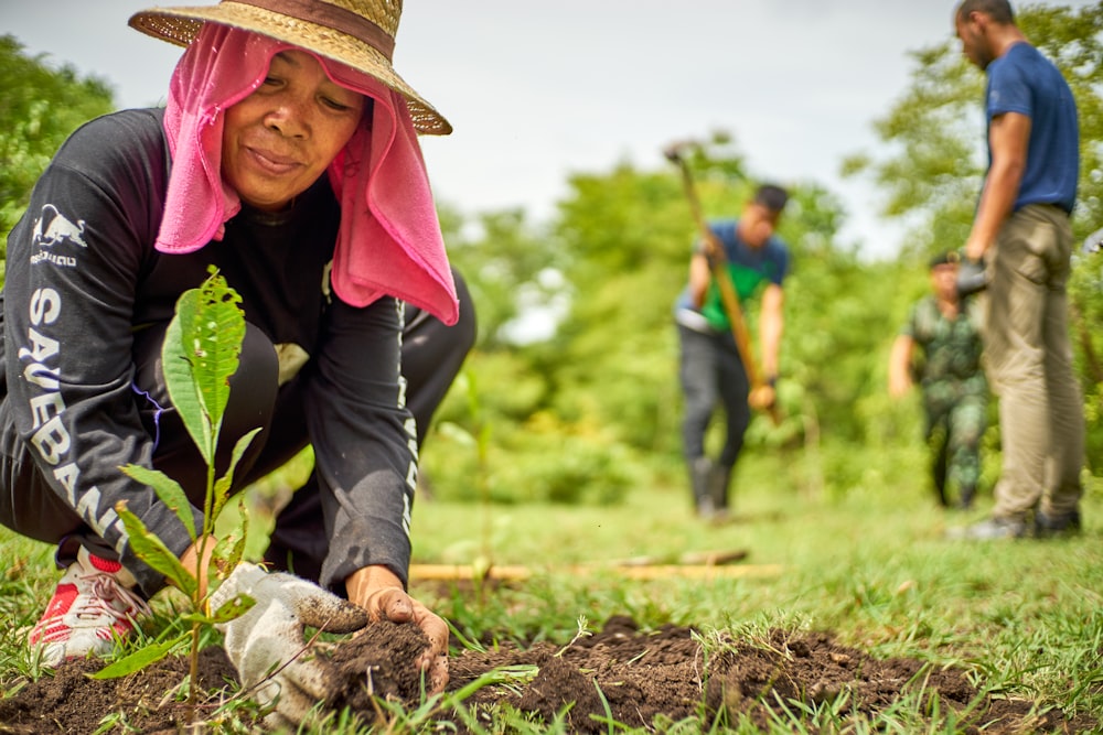 Personne plantant un jeune arbre dans un sol préparé